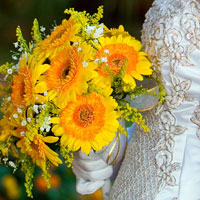 weddings